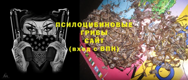 метадон Алексин