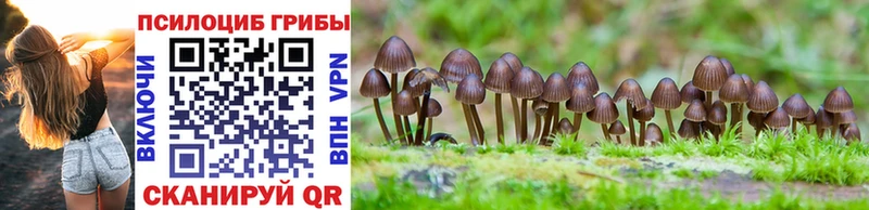 Псилоцибиновые грибы мухоморы  где купить наркоту  МЕГА как войти  Азнакаево 